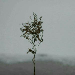 国产在线视频福利站
