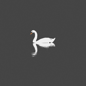 国产在线视频福利站
