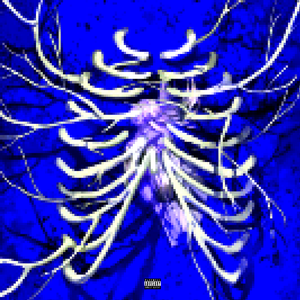 国产在线视频福利站
