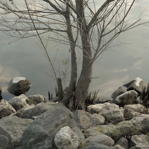 国产在线视频福利站
